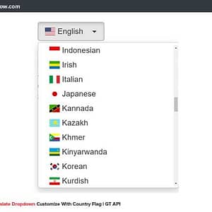 Google-Translate-Dropdown-Customize-With-Country-Flag